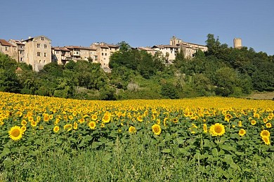 N°11 Vert: Petite traversée au pied du château ...