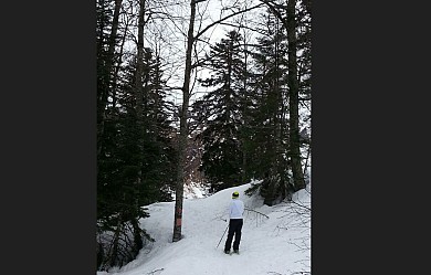 Circuit raquette Le Bois des Crétets