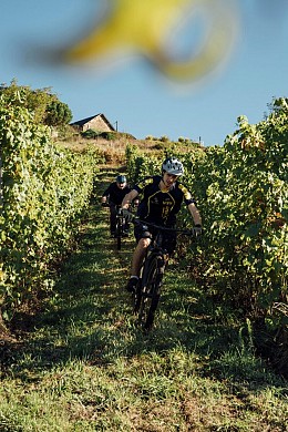 Les Coteaux du Saillant