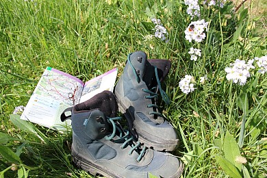 Les collines et vallons béarnais