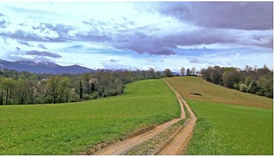 Entre Bois et Panorama