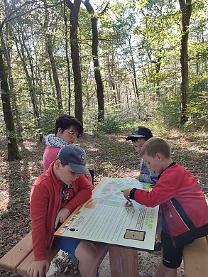 Balade sur le sentier d'interprétation du Bois ...