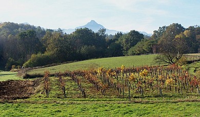 Le circuit de Lapassade