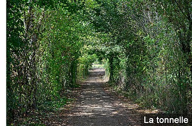 Le Boupère : Le Château