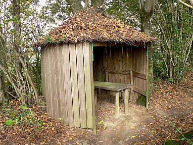 Le Boupère : La Forêt