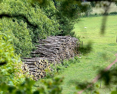 Sèvremont (Saint-Michel-Mont-Mercure) : Les Ch ...