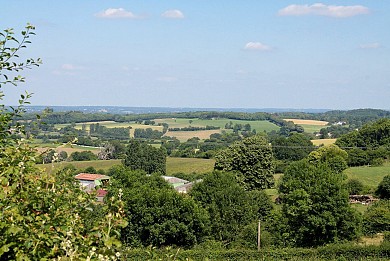Pouzauges : Les Manoirs et Logis