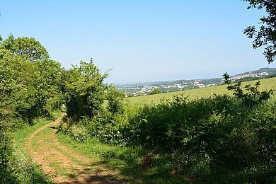 La Meilleraie-Tillay : Les Fiefs