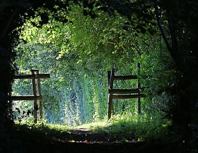 Sèvremont (La Flocellière) : Lourdes