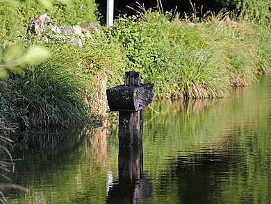 Sèvremont (La Flocellière) : Le Coudreau