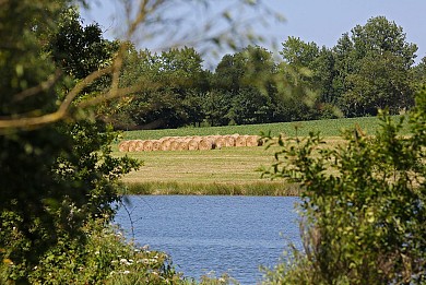 Chavagnes-les-Redoux : Les Jarries