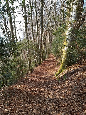 Des hauteurs du Buenne à la vallée de l'Alze e ...
