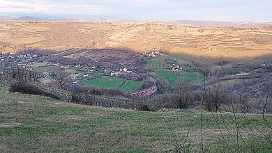 Vignes et bois autour de Cassagnes