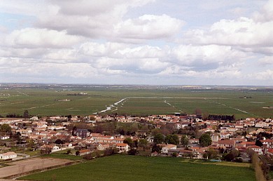 La Coulée Verte - Champagné les Marais