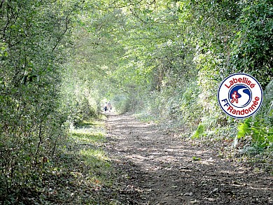 Sentier de Boudet - BEAULIEU SOUS LA ROCHE (85)