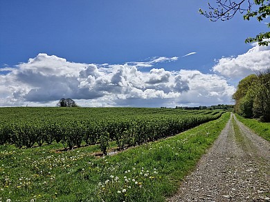 Le Ruisseau des Belles Dames