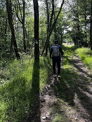 Trail n°7 vert : Circuit La Lauressie - Laguépie