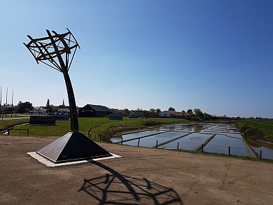 Sentier les oiseaux et le marais Bouin