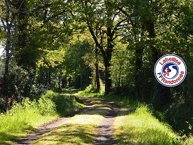 Sentier du Pas de l'Enfer - SAINTE FLAIVE DES  ...