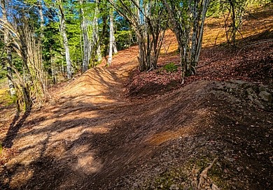 PC - WOOD'S LINES