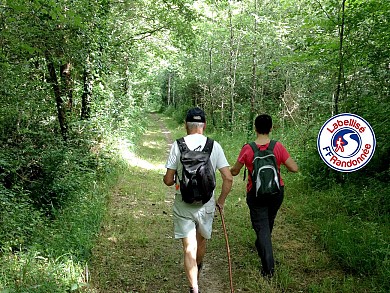 Sentier de l'Ormeau - SAINTE FLAIVE DES LOUPS (85)