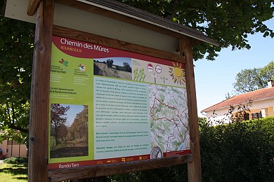 Chemin Des Mûres