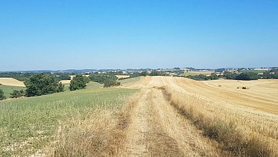 Chemin Des Terres Blanches Sieurac