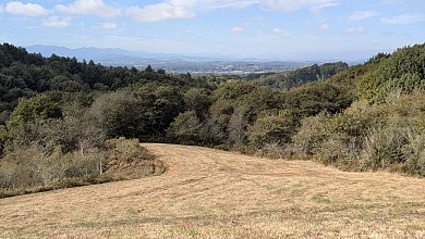 Le circuit du Brané