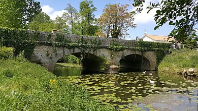 Sentier de l'Aunay - Sainte Cécile