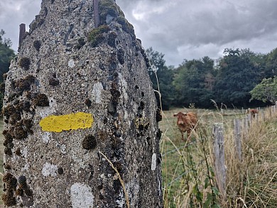 La Chapelle Anty - Raccourci 12km