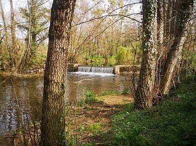 Sentier des Moulins de la Rue - Sainte Cécile