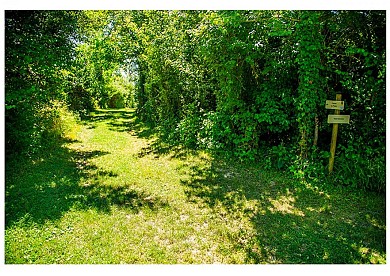 Le chemin du Pastel