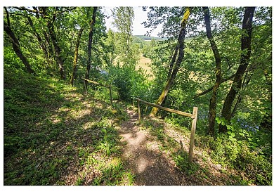Le circuit des plateaux