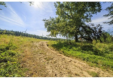 Le circuit du pas du Loup