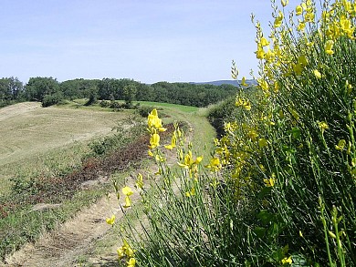 Le sentier de Saint-Sébastien
