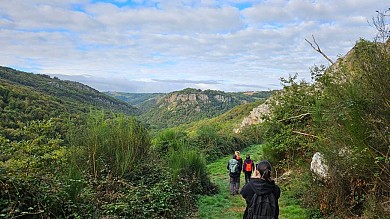 Le sentier de Mont'4 Roc