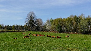 Entre Dordogne et Maronne