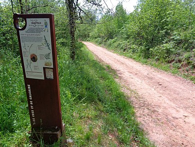 De grès et de calcaire