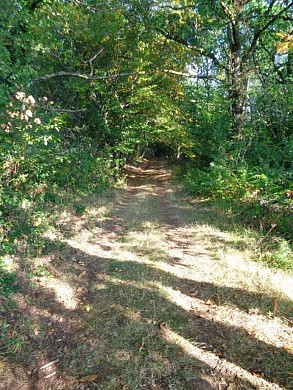 GRP Midi Corrézien - boucle de Lostanges - VTT
