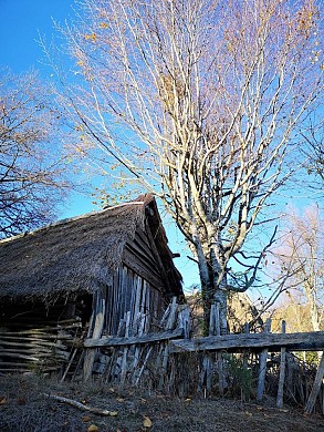 Ferme du Moyen Age