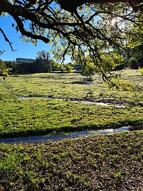 Sentier d'interprétation