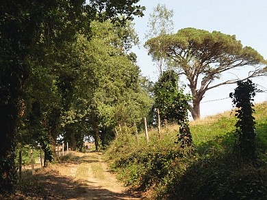 Chemin des deux vallons
