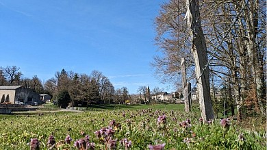 Circuit VTT n °20