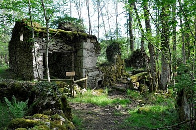 Circuit VTT n°8