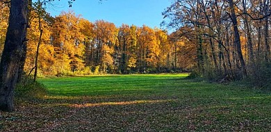 Circuit VTT n°8 De l'Assou à la Bancalié