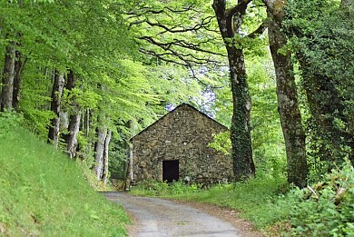 De Lacanal à Rouvières (version courte)