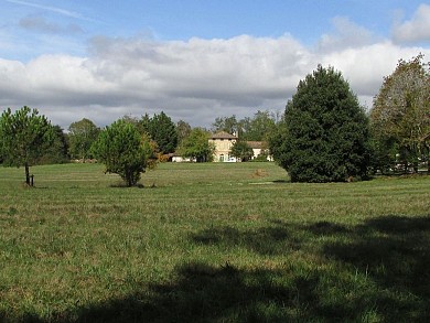 La forêt de Sivens