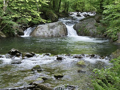 Le ruisseau de Candesoubre