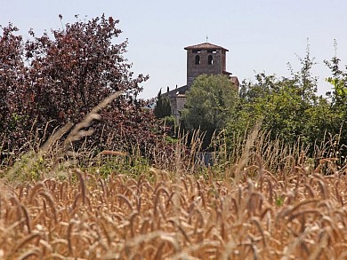 Les chemins de la plaine