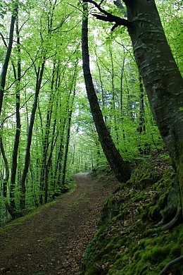 N°3 Sentier des Cayrans